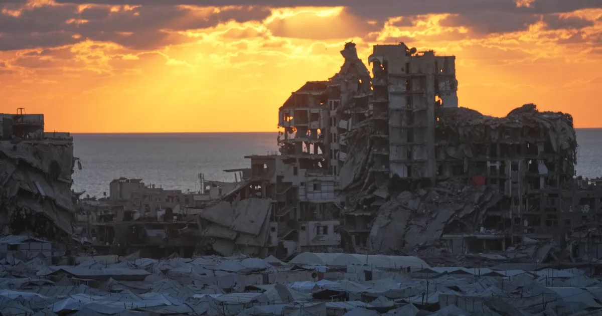FAO official says he lost his job for criticising Israeli policies in Gaza | News