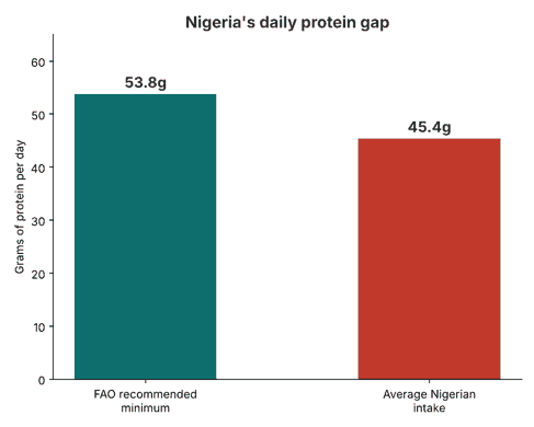 Chart of Nigeria's daily protein gap