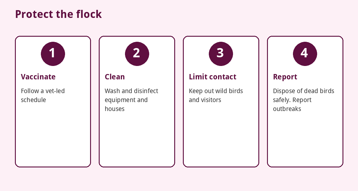 Poultry Farming in Nigeria (2026): Start-Up Cost, Feed and Profit 3 Four ways to protect a poultry flock