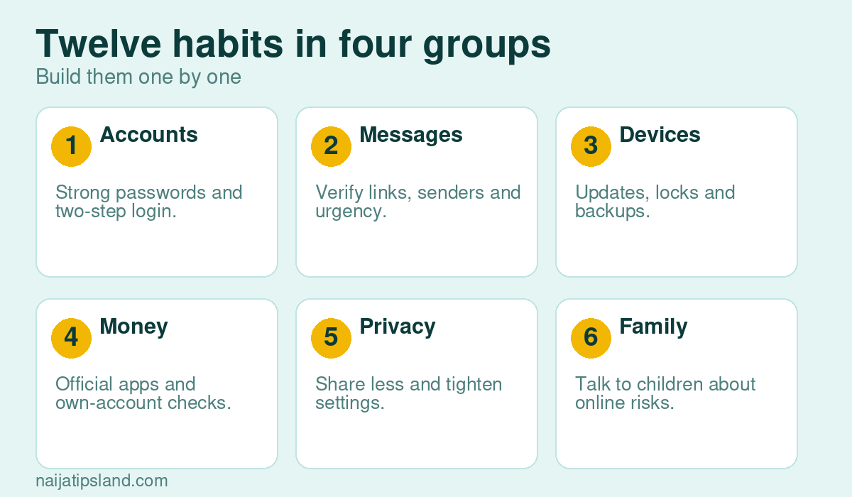 Twelve habits in four groups: Accounts Strong passwords and two-step login., Messages Verify links, senders and urgency., Devices Updates, locks and backups., Money Official apps and own-account checks., Privacy Share less and tighten settings., Family Talk to children about online risks.