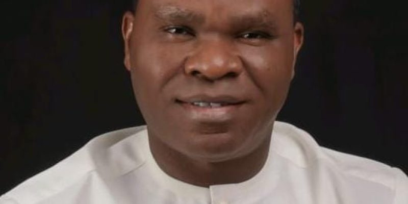 Call For Matawalle’s Removal: Tinubu Shouldn’t Sacrifice Competence, Loyalty, Security Gains – NDYC