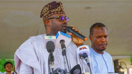 FG to Track Foreigners Overstaying Visas in Nigeria