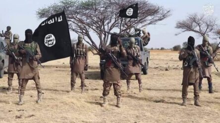 ISWAP Claims Deadly Attacks on Troops in Viral Video