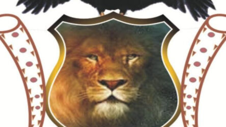 Igbo group launches ballot revolution campaign for effective political participation