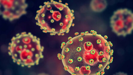 NCDC Confirms 165 Lassa Fever Cases, 31 Deaths In Five Weeks • Channels Television