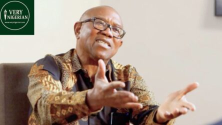 Obi faults FG as Nigeria records highest rise in Global Terrorism Index