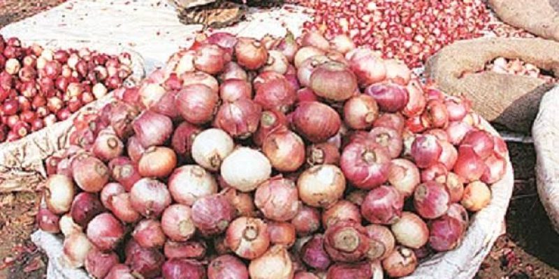 Onion farmers forecast higher prices during yuletide