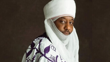 You cannot remove subsidy and keep borrowing — says Emir Sanusi