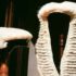 How the Senate’s CLARITY Act vote will set up a ‘crucial’ September for Bitcoin